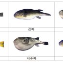 여수복집 이미지