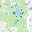 연화 | [종로] 창경궁 야간개장 물빛연화 후기