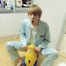 멍멍왈왈 이미지