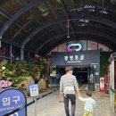 광명역 근처 가볼만한곳 광명동굴 아이랑 실내 나들이 후기 (입장료, 할인정보 총정리)