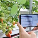 박대성농장 이미지