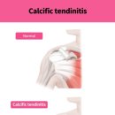 동서연합의원 이미지