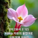 "니골라당의 행위를 나도 미워하노라.(계2:6) 니골라당의 행위가 무엇인가?" 이미지