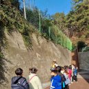 안성자연유치원 이미지