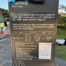 시민마당 | 부산 아기랑 갈만한곳 시민공원 물놀이마당,바닥분수 후기(위치/시간표/주차장)