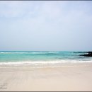 함덕등대 이미지