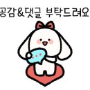 수야네쪽갈비