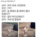 울랄라 - 부안군 동중1길 27 | 울랄라