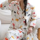 파자마독 이미지