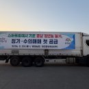 청년팜