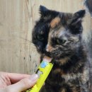 (주)온힐 이미지