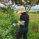 남규농장 이미지