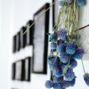 달달쭈봉 이미지