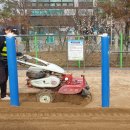 동화초등학교 병설유치원 이미지