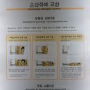 돈벼락