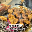 돼지야 | 포항 효자동 고기집 | 효자 한돈 돼지갈비 회식맛집 돼지야돼지야 후기