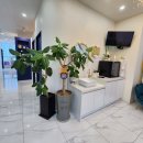 진에스테틱 이미지