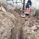 쉬자파크 이미지