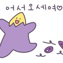 죠샌드위치시지점