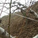 훈이네농장 이미지