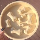 핸독 | 구매 후기 「본아페티, 핸독」 반려견 급체방지 슬로우식기 비교 후기 내돈내산 솔직 후기