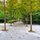 샘골공원 이미지