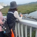 망우당행장 이미지