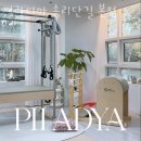 필라디아