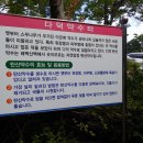 콸 네이버블로그