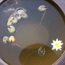 이병일농장 이미지