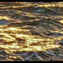 (주)복은 이미지