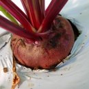 (주)휴팜 이미지