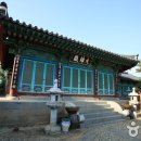 익산애견테마파크 이미지