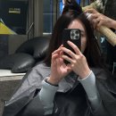 새치 | 센텀미용실 헤이브헤어 센텀에서 받은 새치염색 후기