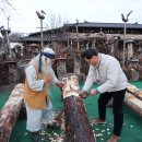 금소공동체 이미지