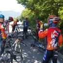 광양사슴농장 이미지