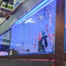 물속풍경수족관 이미지