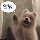 마인드휘트니스 야음점 이미지
