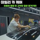 데일리카케어 이미지