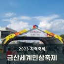 2023 금산 세계 인삼 축제 (feat. 조금 더 머무르고 싶었던 곳)