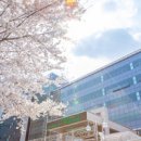 종로-현장-종로-세-191 이미지