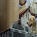 미니스톱 구월시청점 이미지