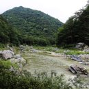 물내치기 이미지