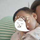 지성어린이집 | 23개월 아기 40.5도 고열, 컹컹기침 열감기 기록｜대구 북구 튼튼소아과 진료 후기
