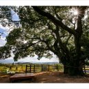 대산문화체육공원(파크골프장) | 창원 대산문화체육공원 걷기