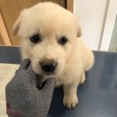 차부마트 이미지