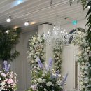 석촌가든 | 석촌웨딩홀 끝판왕 엘로라 인 가든 계약 후기