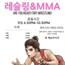 팀레슬라이킥