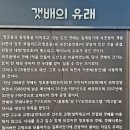 속초항갯배 이미지