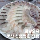 팔등로67번길R | 울산 신정동 회 맛집 금성회락 저녁식사 회식장소 추천